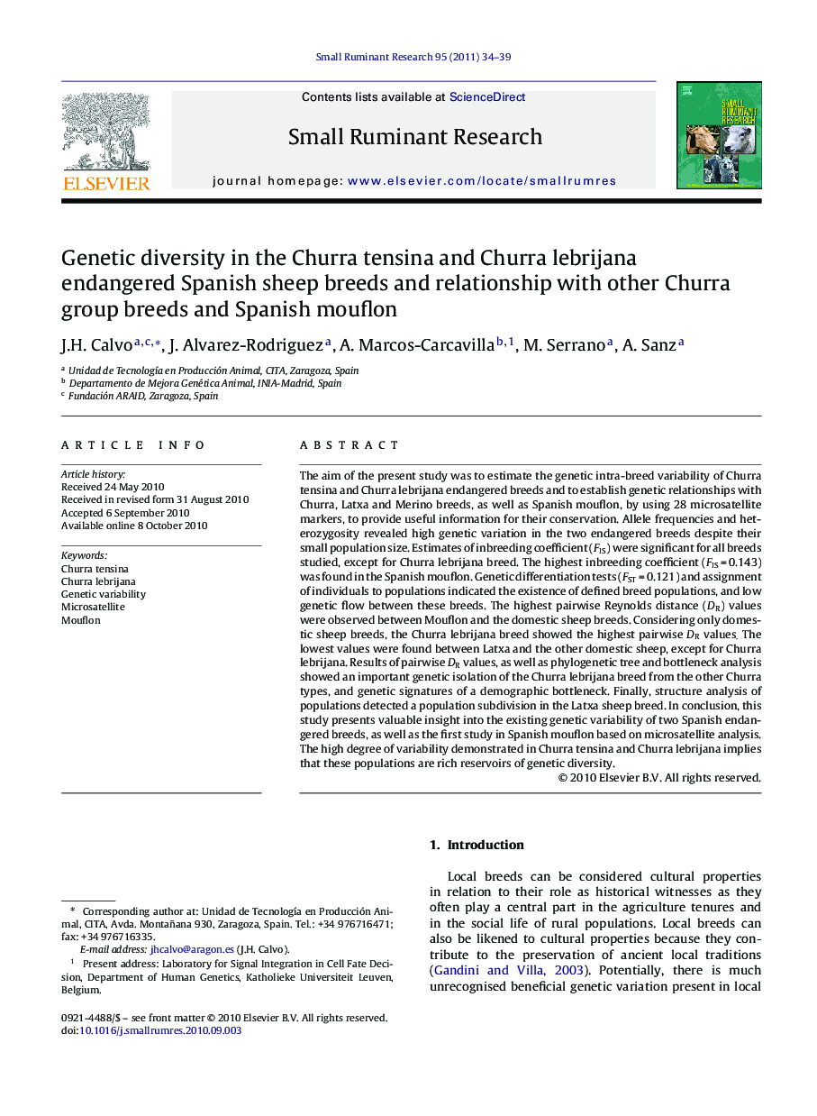 Genetic diversity in the Churra tensina and Churra lebrijana endangered Spanish sheep breeds and relationship with other Churra group breeds and Spanish mouflon