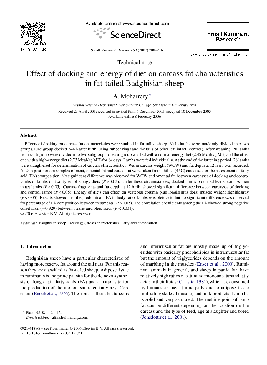 Effect of docking and energy of diet on carcass fat characteristics in fat-tailed Badghisian sheep