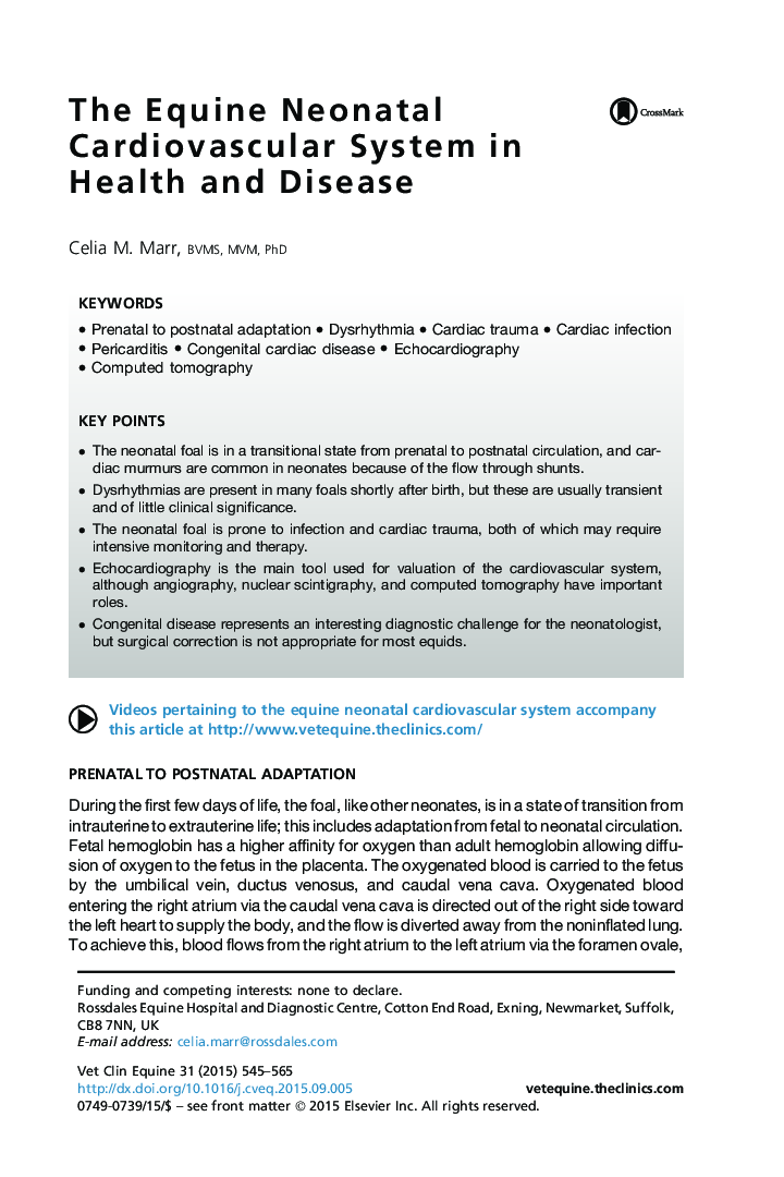 The Equine Neonatal Cardiovascular System in Health and Disease