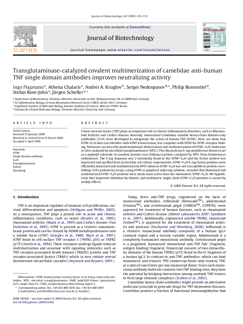 Transglutaminase-catalyzed covalent multimerization of camelidae anti-human TNF single domain antibodies improves neutralizing activity