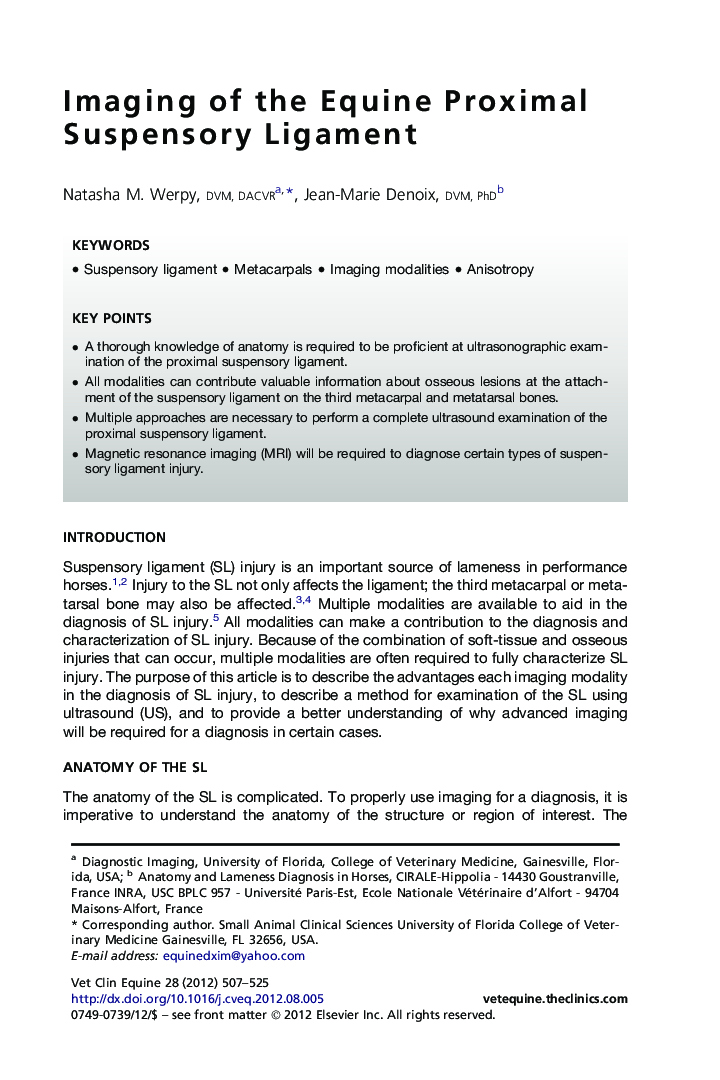 Imaging of the Equine Proximal Suspensory Ligament