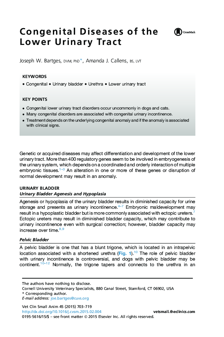 Congenital Diseases of the Lower Urinary Tract