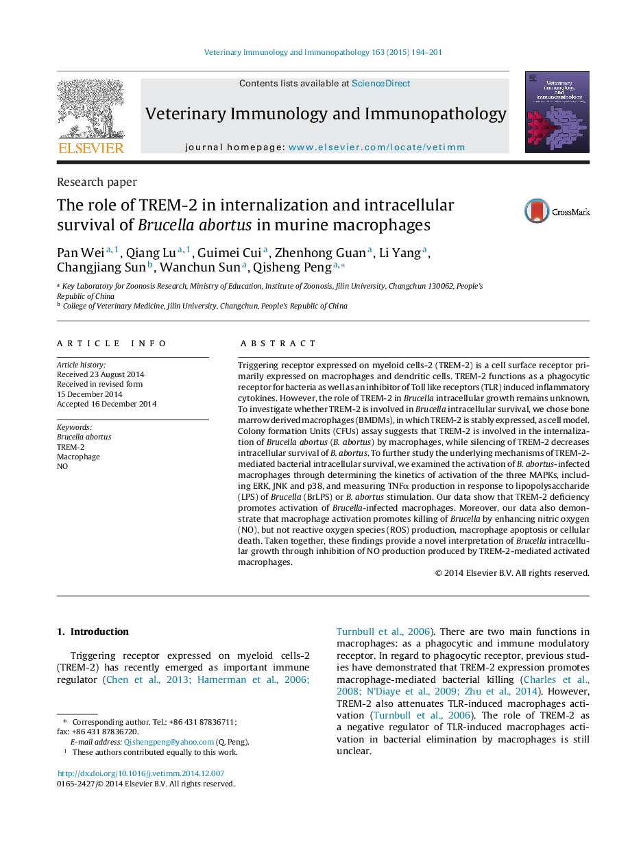 The role of TREM-2 in internalization and intracellular survival of Brucella abortus in murine macrophages