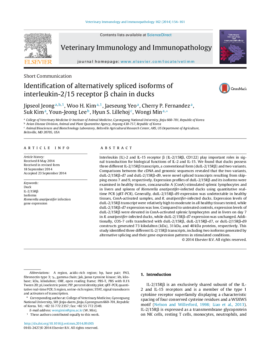 Identification of alternatively spliced isoforms of interleukin-2/15 receptor β chain in ducks