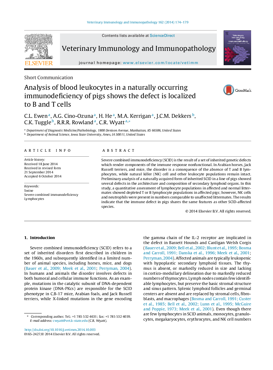 Analysis of blood leukocytes in a naturally occurring immunodeficiency of pigs shows the defect is localized to B and T cells