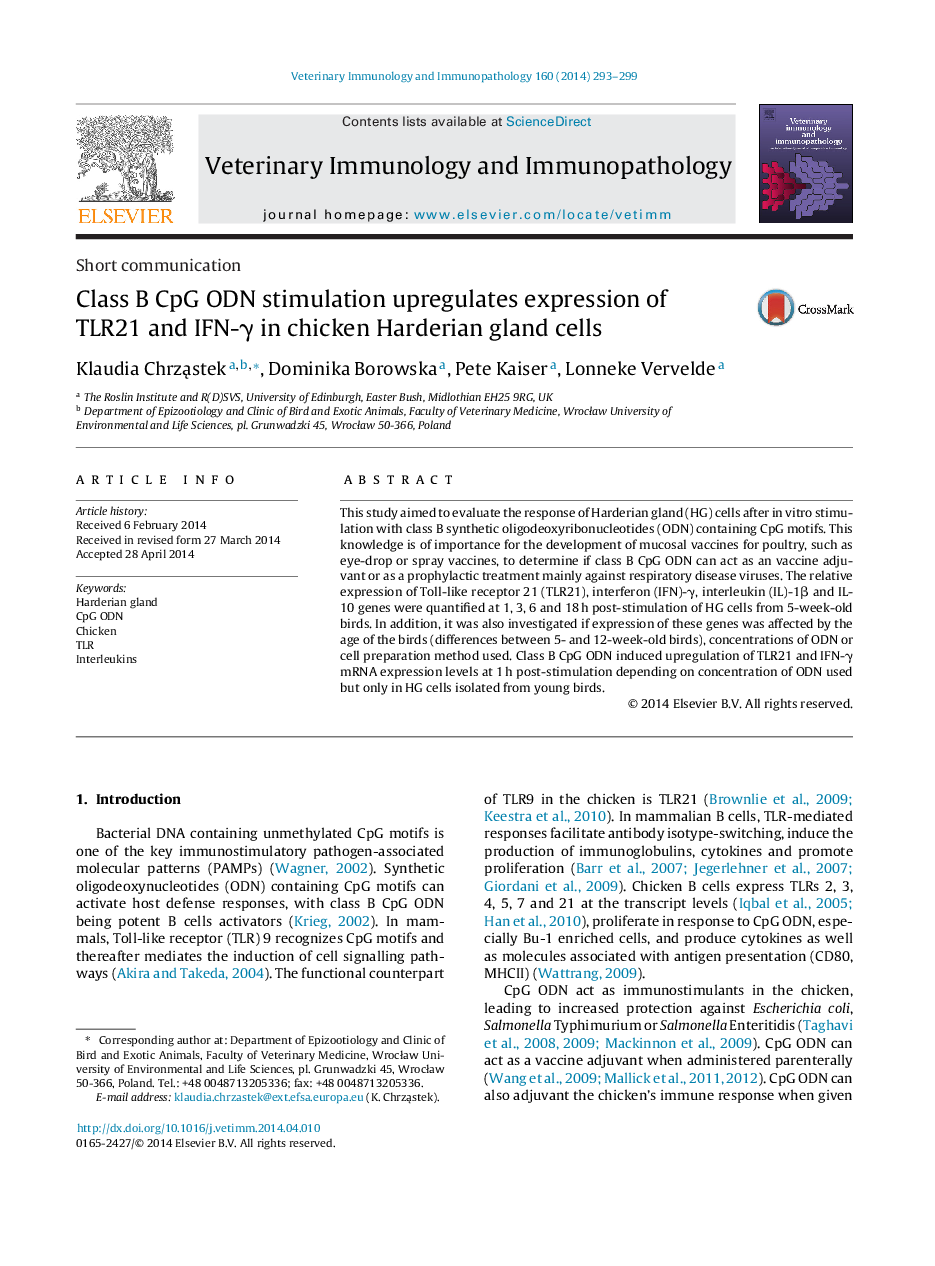 Class B CpG ODN stimulation upregulates expression of TLR21 and IFN-γ in chicken Harderian gland cells