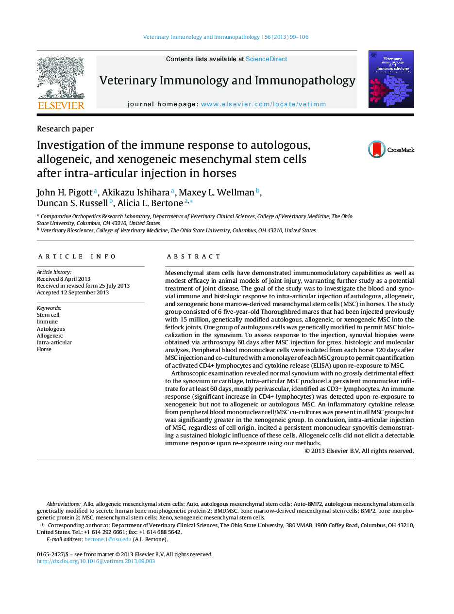 Investigation of the immune response to autologous, allogeneic, and xenogeneic mesenchymal stem cells after intra-articular injection in horses