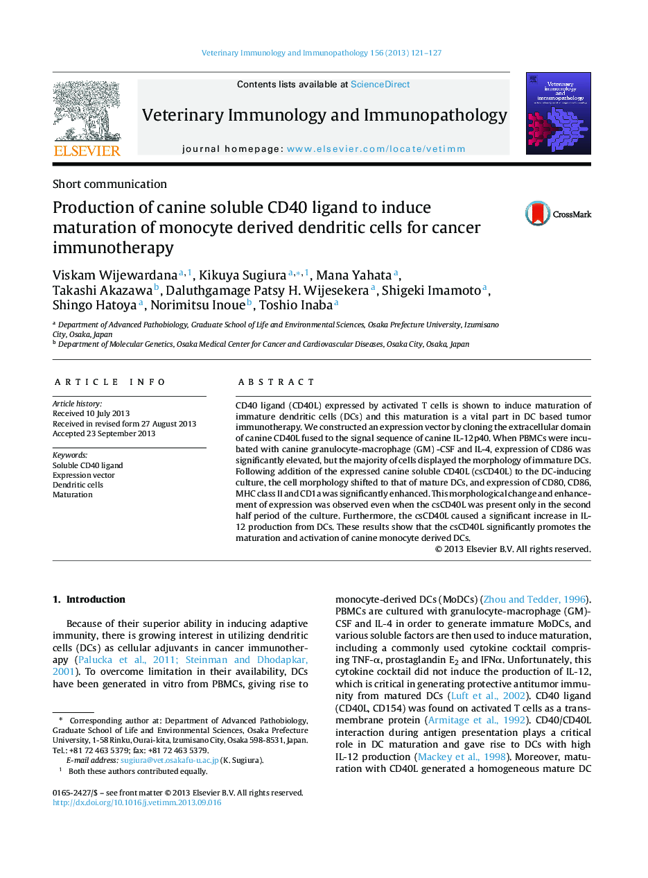 Production of canine soluble CD40 ligand to induce maturation of monocyte derived dendritic cells for cancer immunotherapy