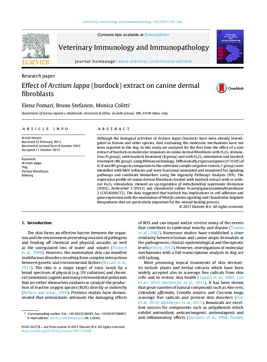 Effect of Arctium lappa (burdock) extract on canine dermal fibroblasts