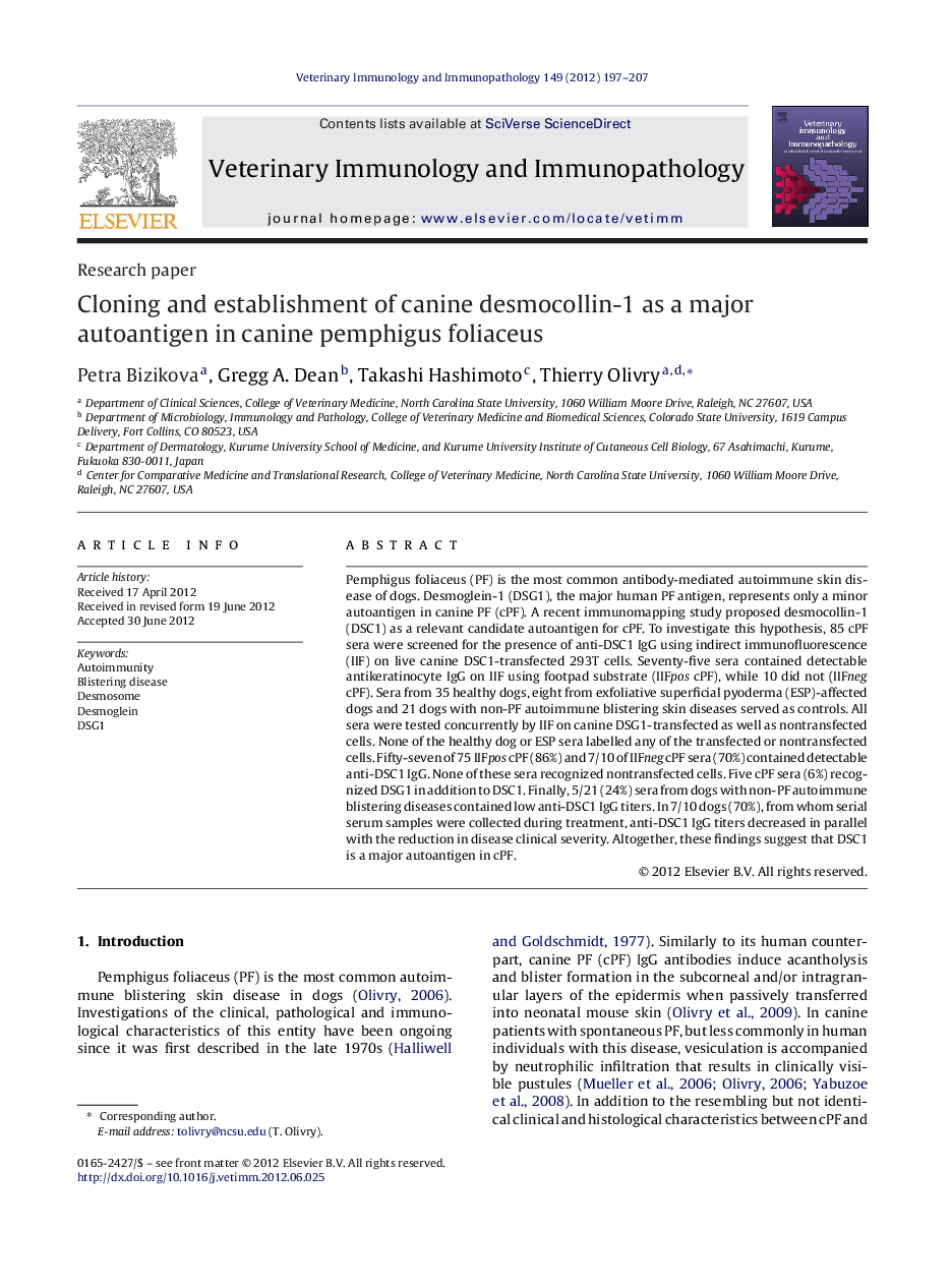 Cloning and establishment of canine desmocollin-1 as a major autoantigen in canine pemphigus foliaceus