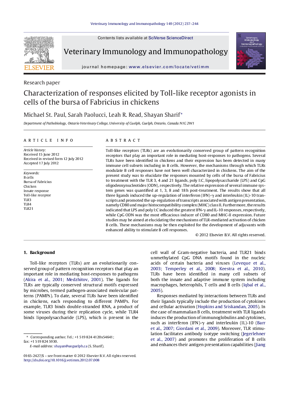 Characterization of responses elicited by Toll-like receptor agonists in cells of the bursa of Fabricius in chickens