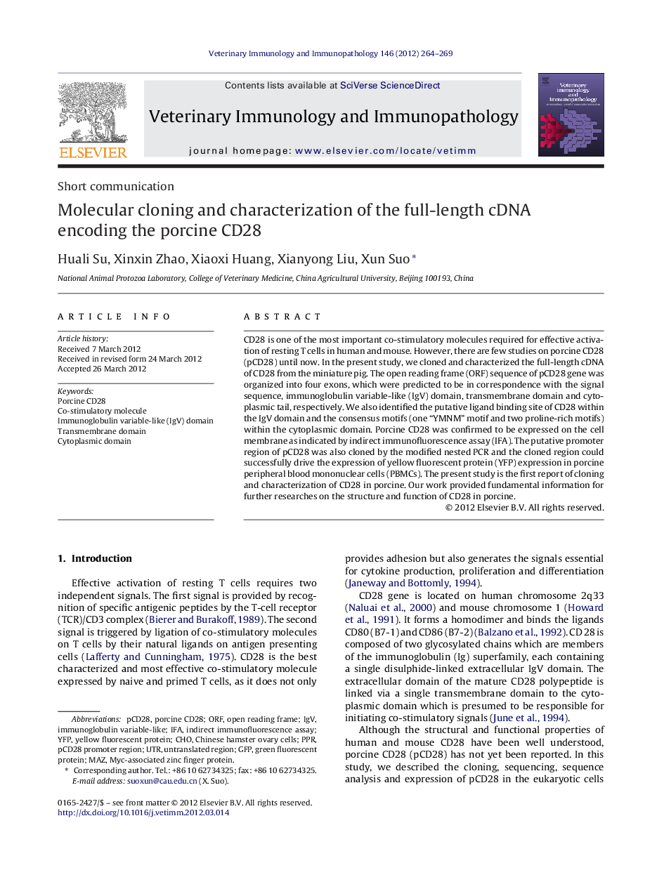 Molecular cloning and characterization of the full-length cDNA encoding the porcine CD28