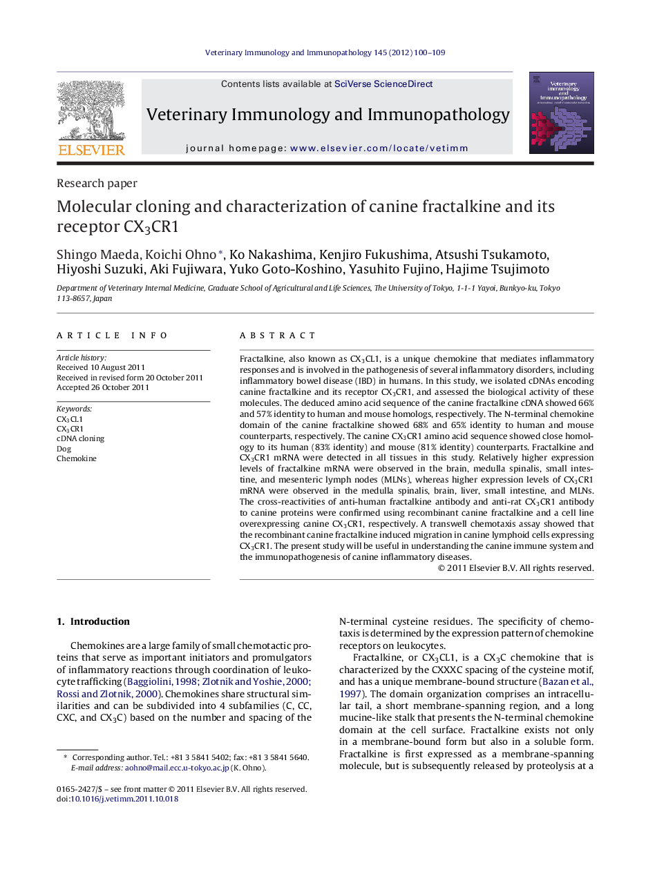 Molecular cloning and characterization of canine fractalkine and its receptor CX3CR1