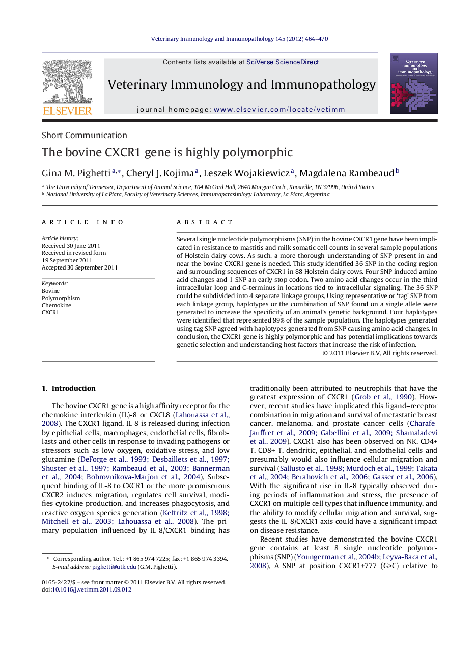 The bovine CXCR1 gene is highly polymorphic