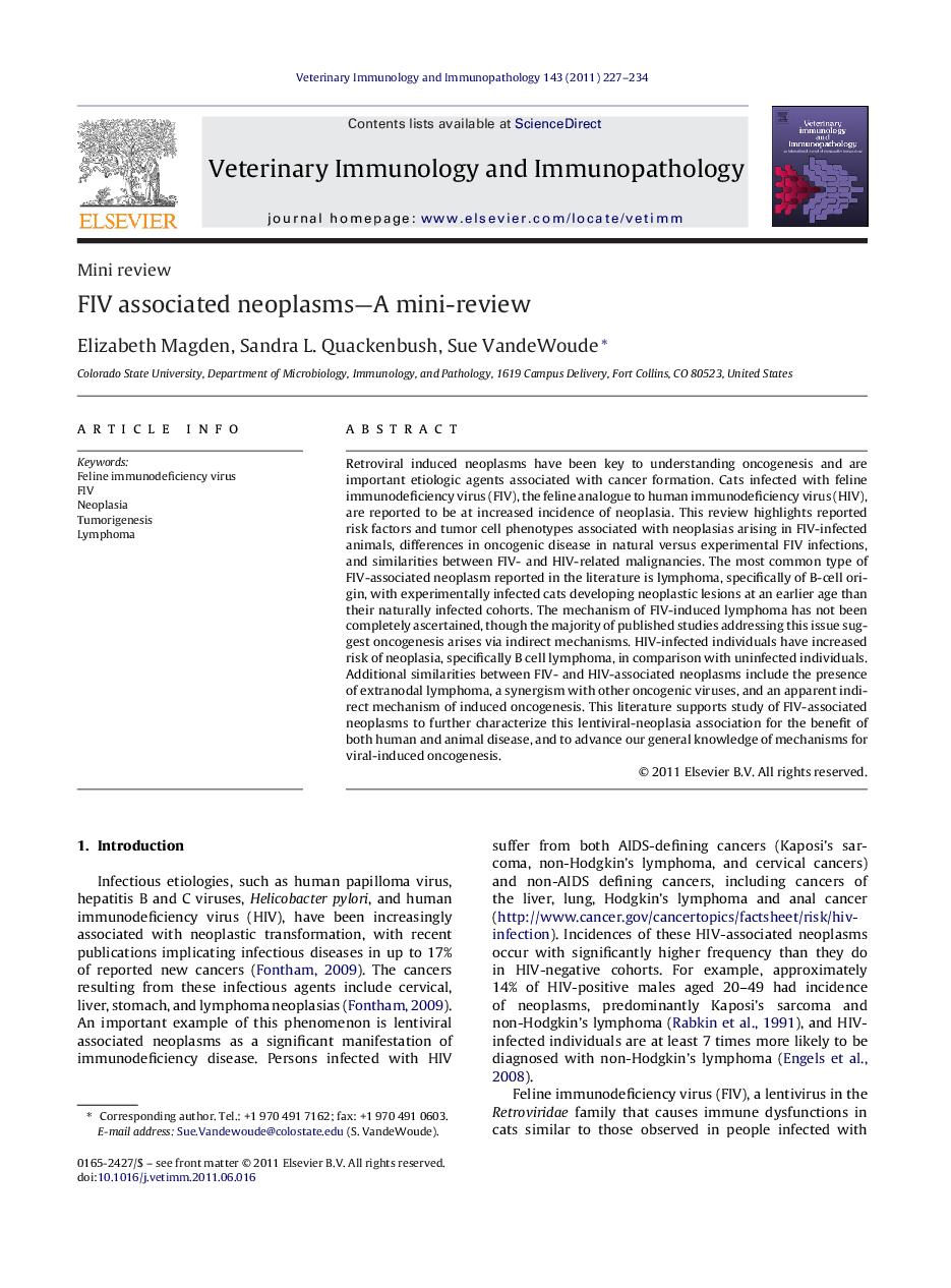 FIV associated neoplasms—A mini-review