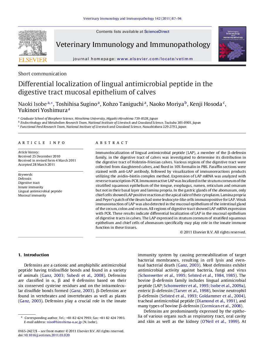 Differential localization of lingual antimicrobial peptide in the digestive tract mucosal epithelium of calves