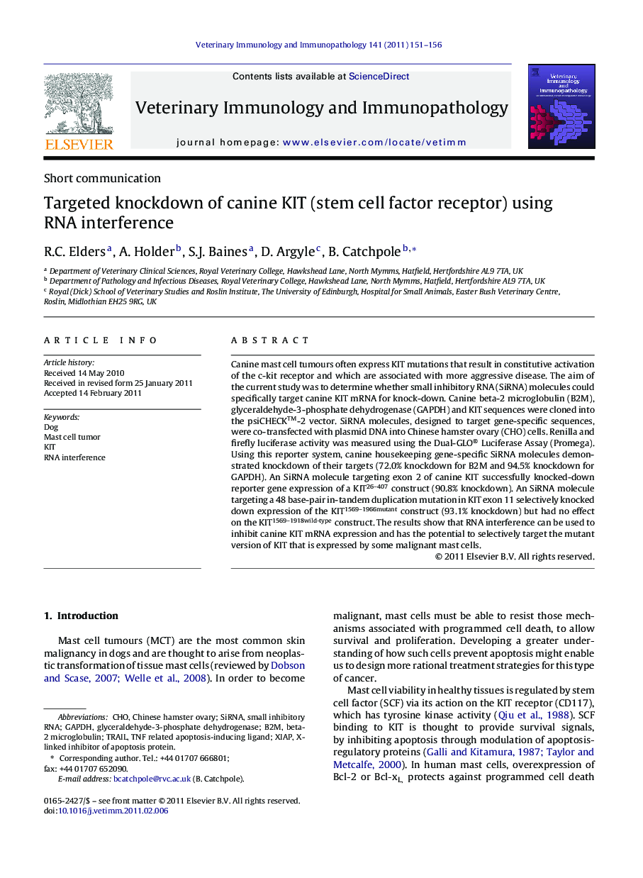 Targeted knockdown of canine KIT (stem cell factor receptor) using RNA interference