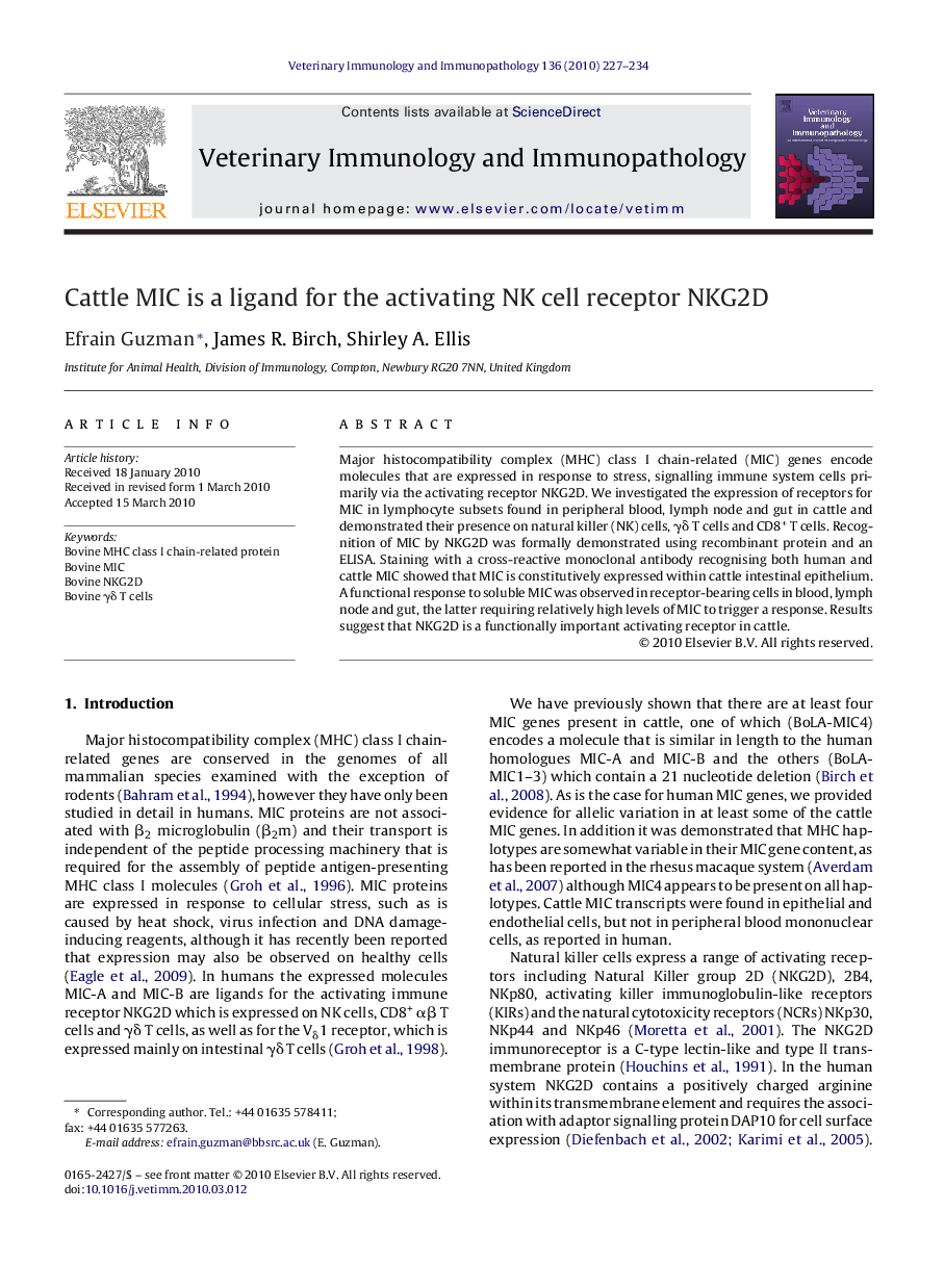 Cattle MIC is a ligand for the activating NK cell receptor NKG2D