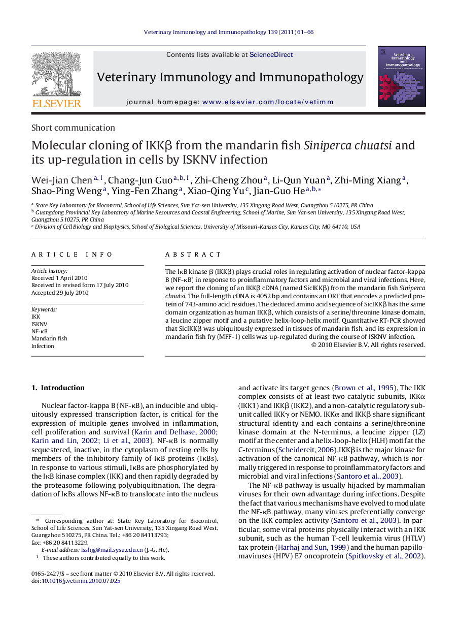 Molecular cloning of IKKβ from the mandarin fish Siniperca chuatsi and its up-regulation in cells by ISKNV infection