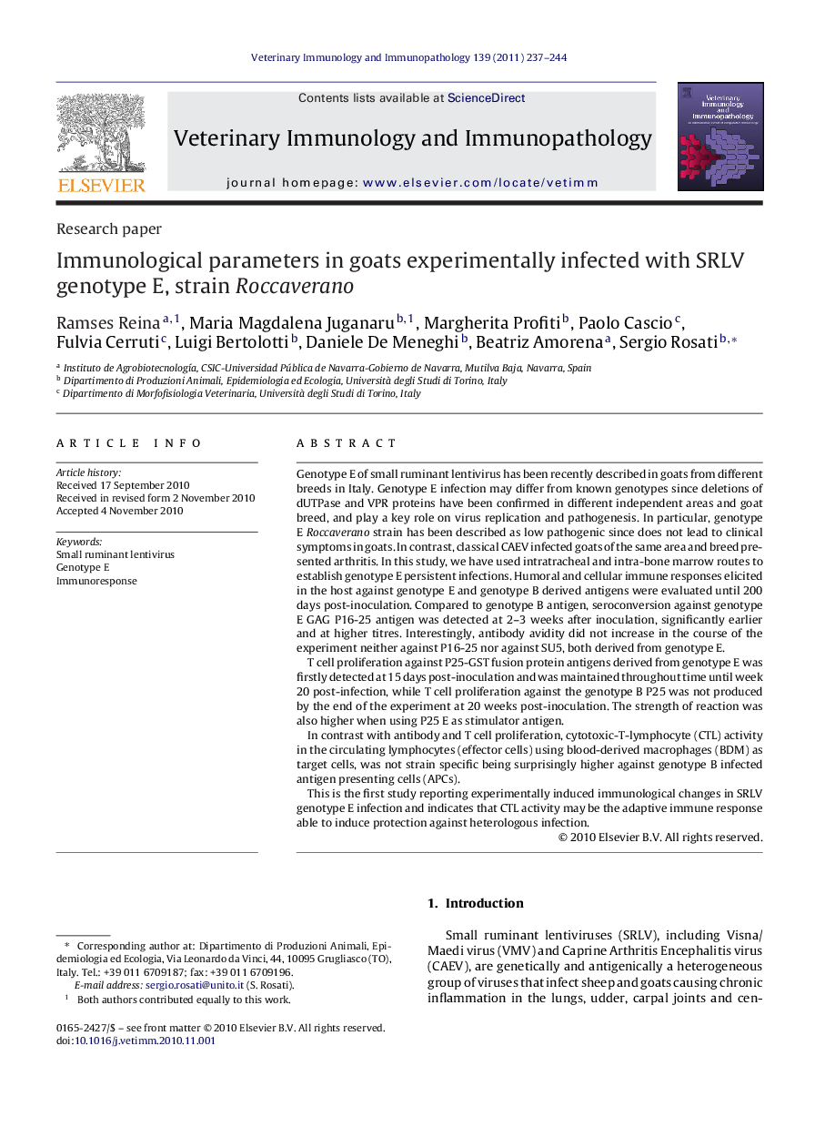 Immunological parameters in goats experimentally infected with SRLV genotype E, strain Roccaverano