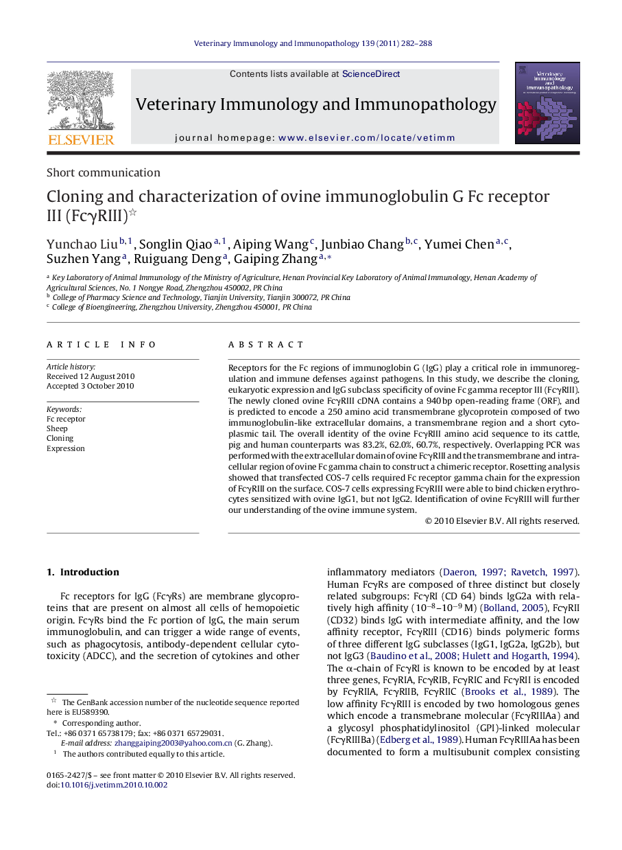 Cloning and characterization of ovine immunoglobulin G Fc receptor III (FcγRIII) 