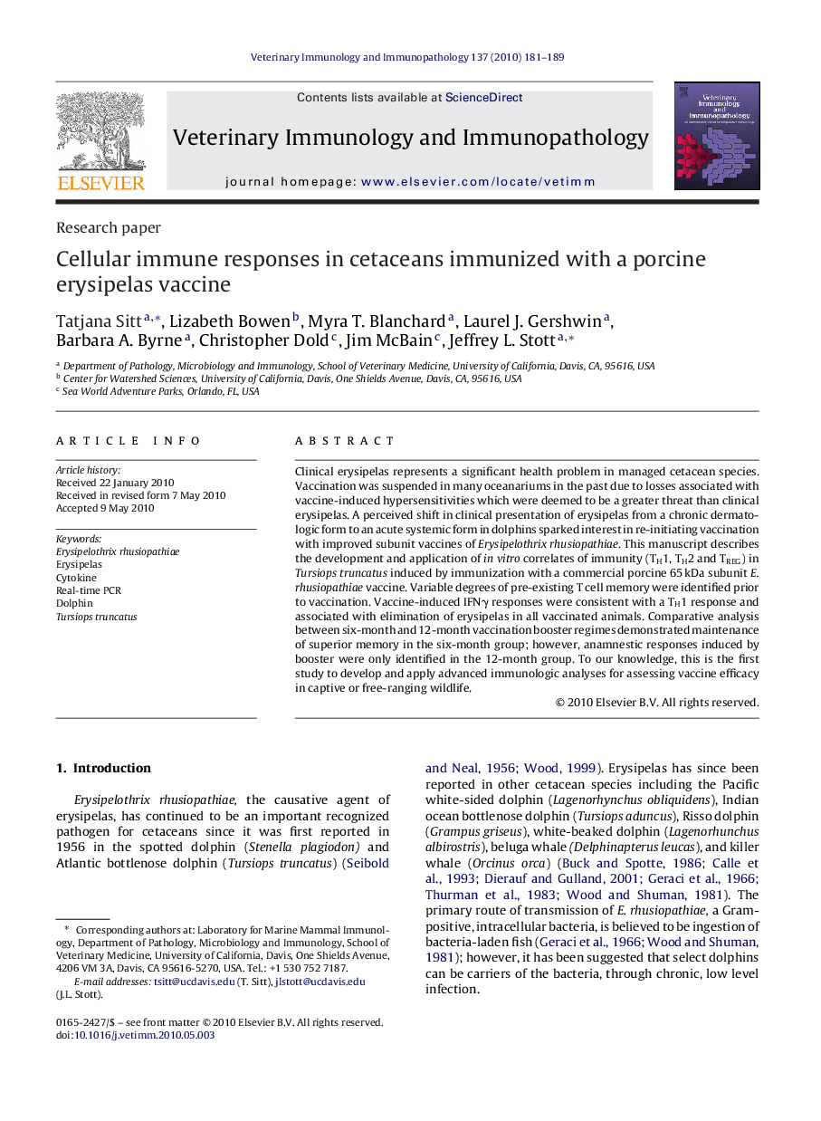 Cellular immune responses in cetaceans immunized with a porcine erysipelas vaccine