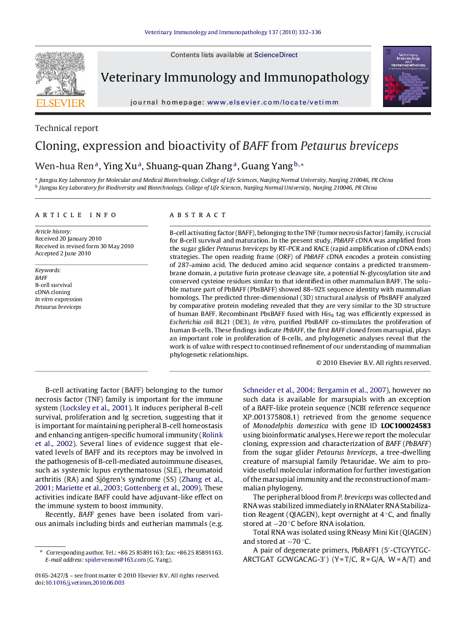 Cloning, expression and bioactivity of BAFF from Petaurus breviceps