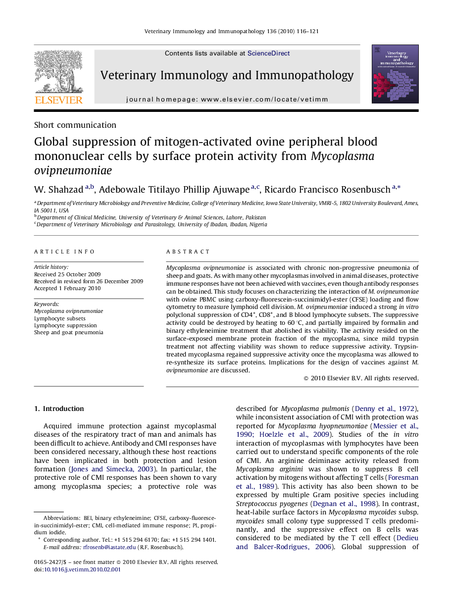 Global suppression of mitogen-activated ovine peripheral blood mononuclear cells by surface protein activity from Mycoplasma ovipneumoniae