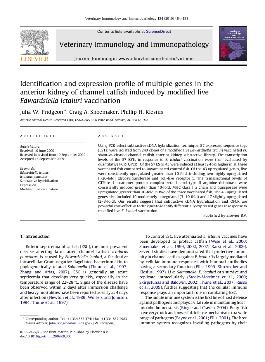 Identification and expression profile of multiple genes in the anterior kidney of channel catfish induced by modified live Edwardsiella ictaluri vaccination