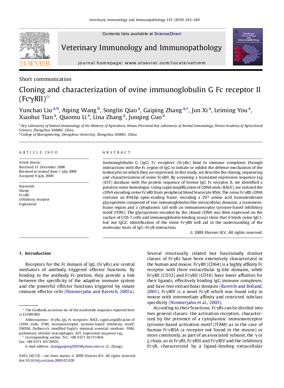 Cloning and characterization of ovine immunoglobulin G Fc receptor II (FcγRII) 