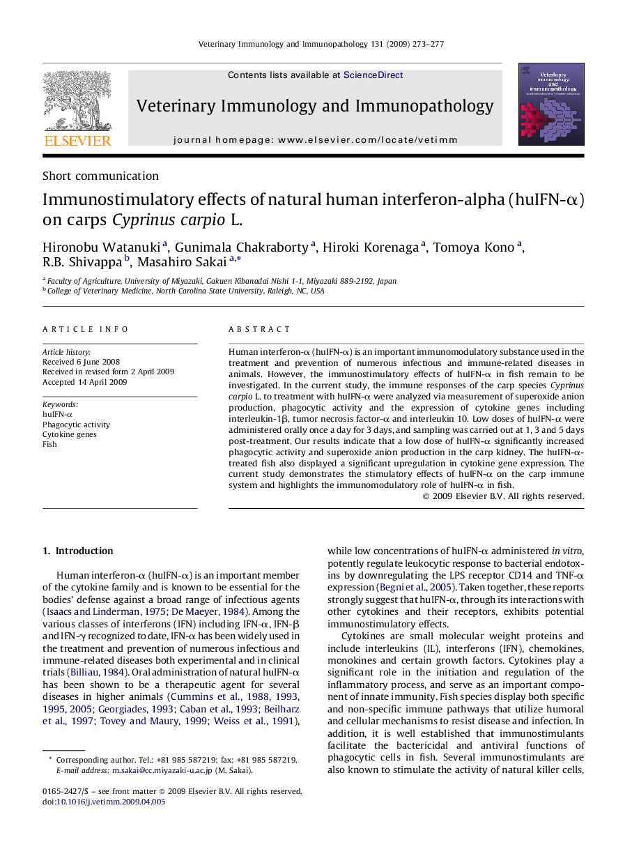 Immunostimulatory effects of natural human interferon-alpha (huIFN-α) on carps Cyprinus carpio L.