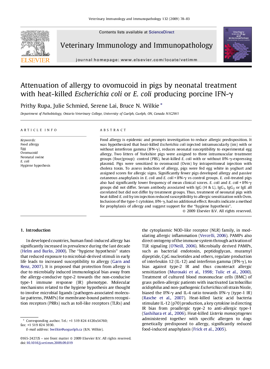 Attenuation of allergy to ovomucoid in pigs by neonatal treatment with heat-killed Escherichia coli or E. coli producing porcine IFN-γ