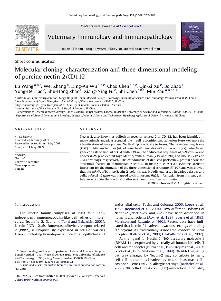 Molecular cloning, characterization and three-dimensional modeling of porcine nectin-2/CD112