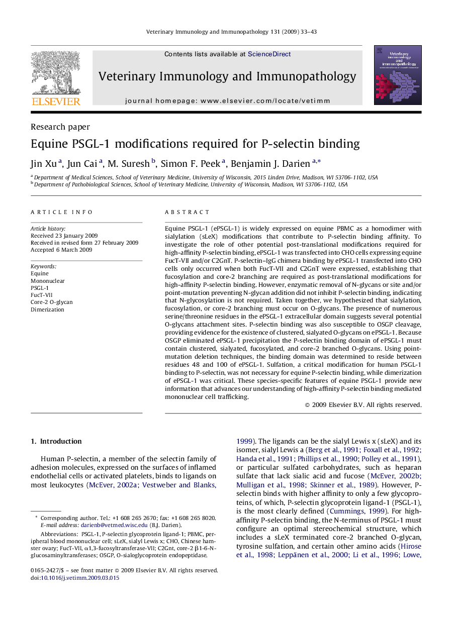 Equine PSGL-1 modifications required for P-selectin binding