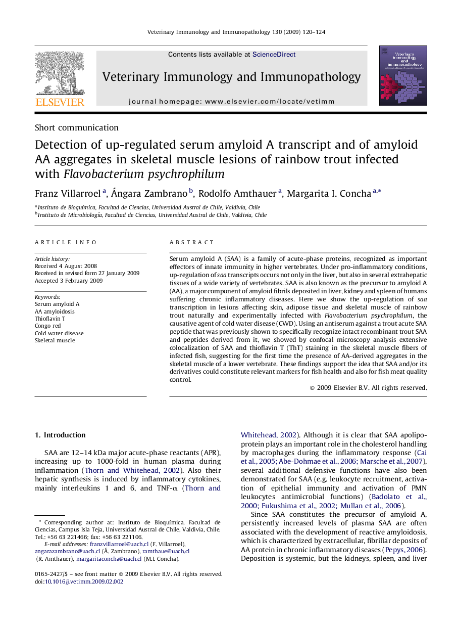 Detection of up-regulated serum amyloid A transcript and of amyloid AA aggregates in skeletal muscle lesions of rainbow trout infected with Flavobacterium psychrophilum