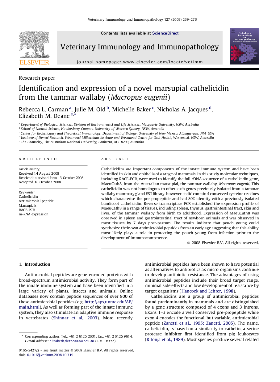 Identification and expression of a novel marsupial cathelicidin from the tammar wallaby (Macropus eugenii)