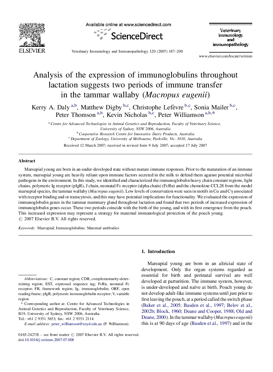 Analysis of the expression of immunoglobulins throughout lactation suggests two periods of immune transfer in the tammar wallaby (Macropus eugenii)