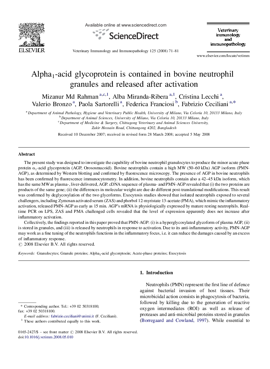 Alpha1-acid glycoprotein is contained in bovine neutrophil granules and released after activation