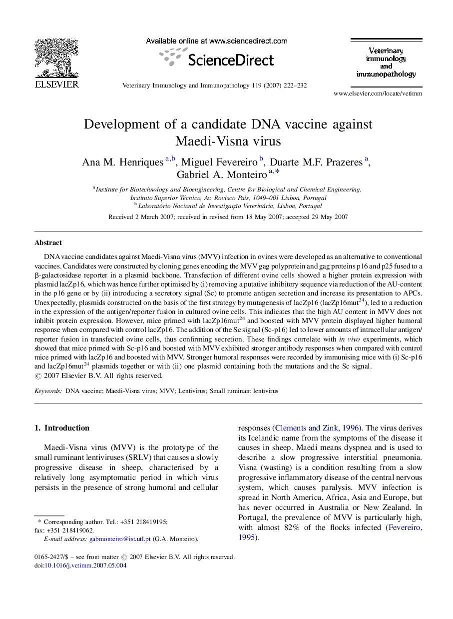 Development of a candidate DNA vaccine against Maedi-Visna virus