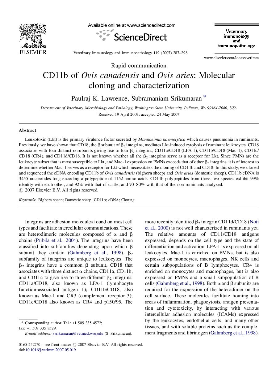 CD11b of Ovis canadensis and Ovis aries: Molecular cloning and characterization