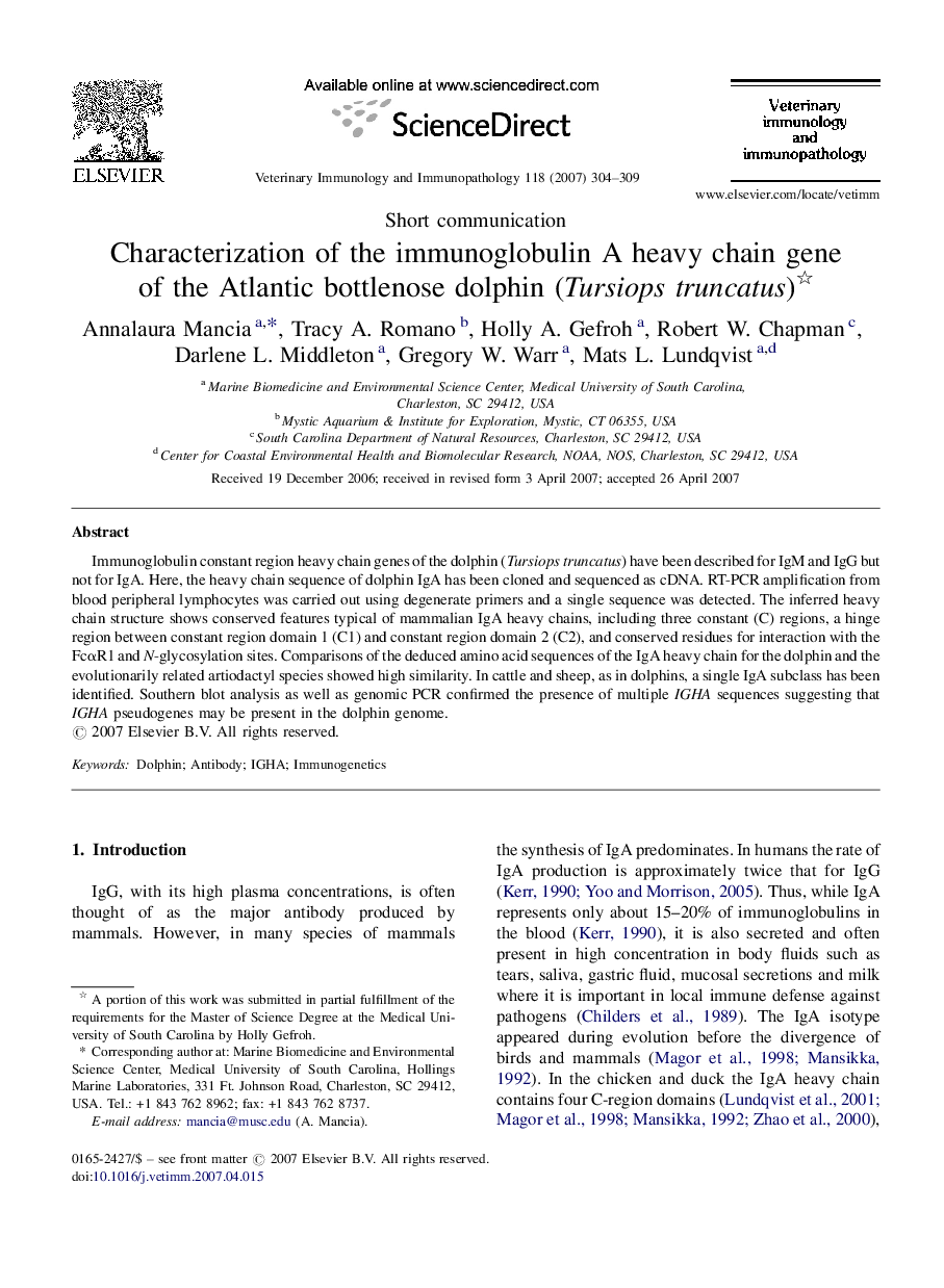 Characterization of the immunoglobulin A heavy chain gene of the Atlantic bottlenose dolphin (Tursiops truncatus) 