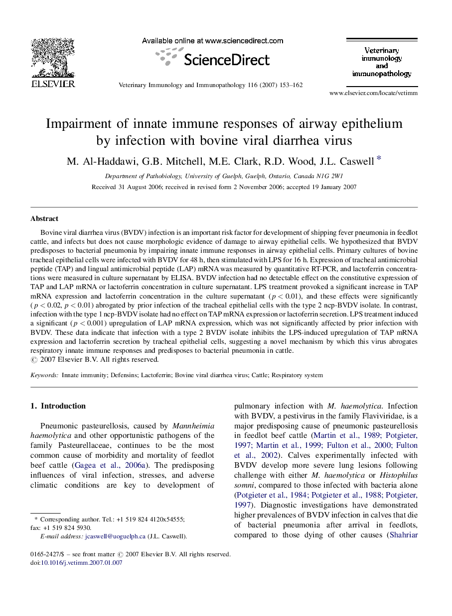 Impairment of innate immune responses of airway epithelium by infection with bovine viral diarrhea virus