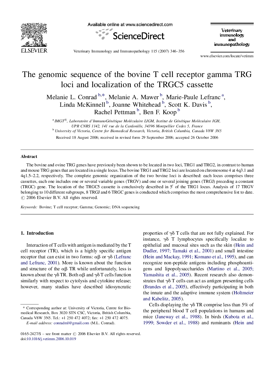 The genomic sequence of the bovine T cell receptor gamma TRG loci and localization of the TRGC5 cassette