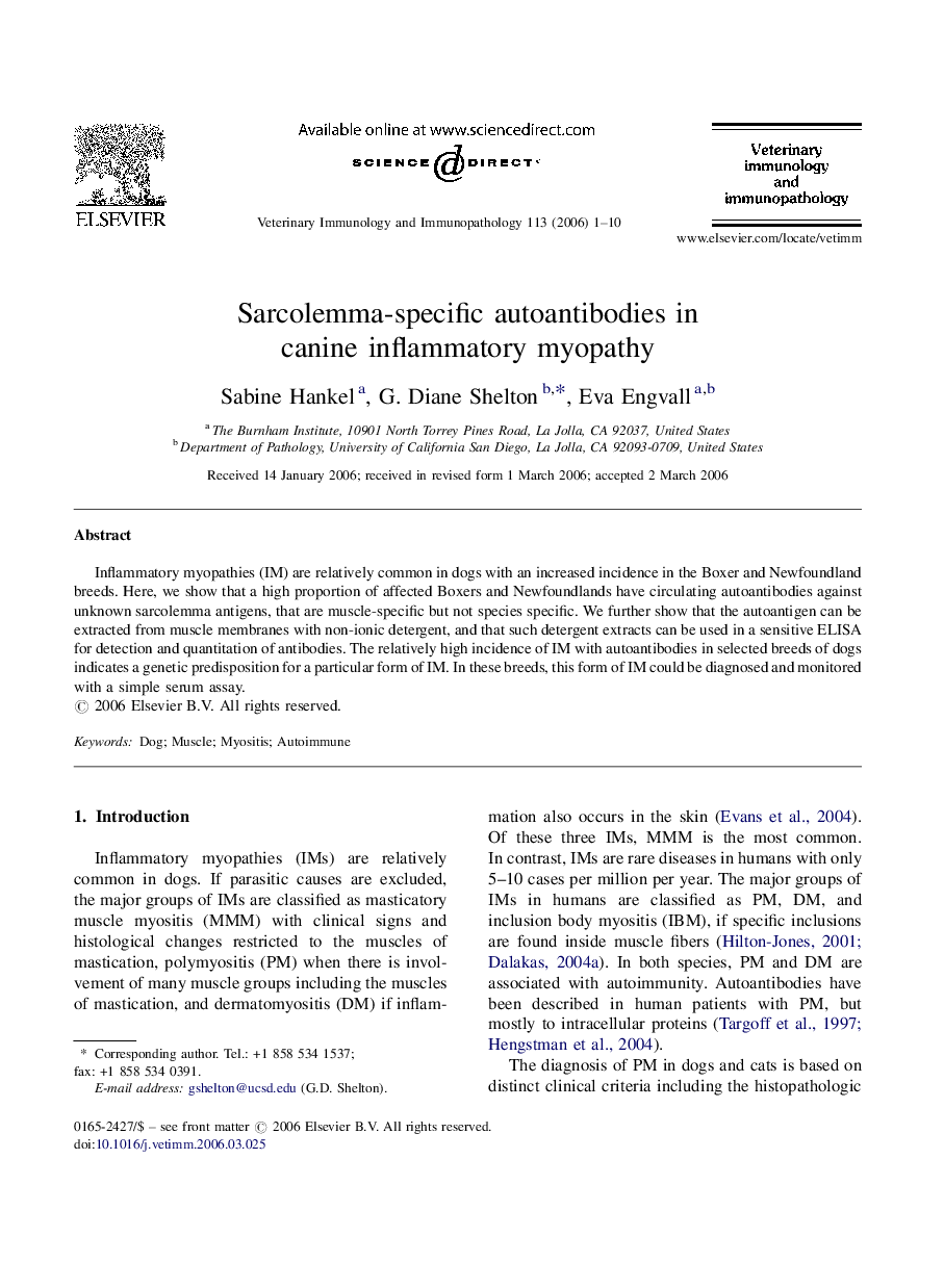 Sarcolemma-specific autoantibodies in canine inflammatory myopathy