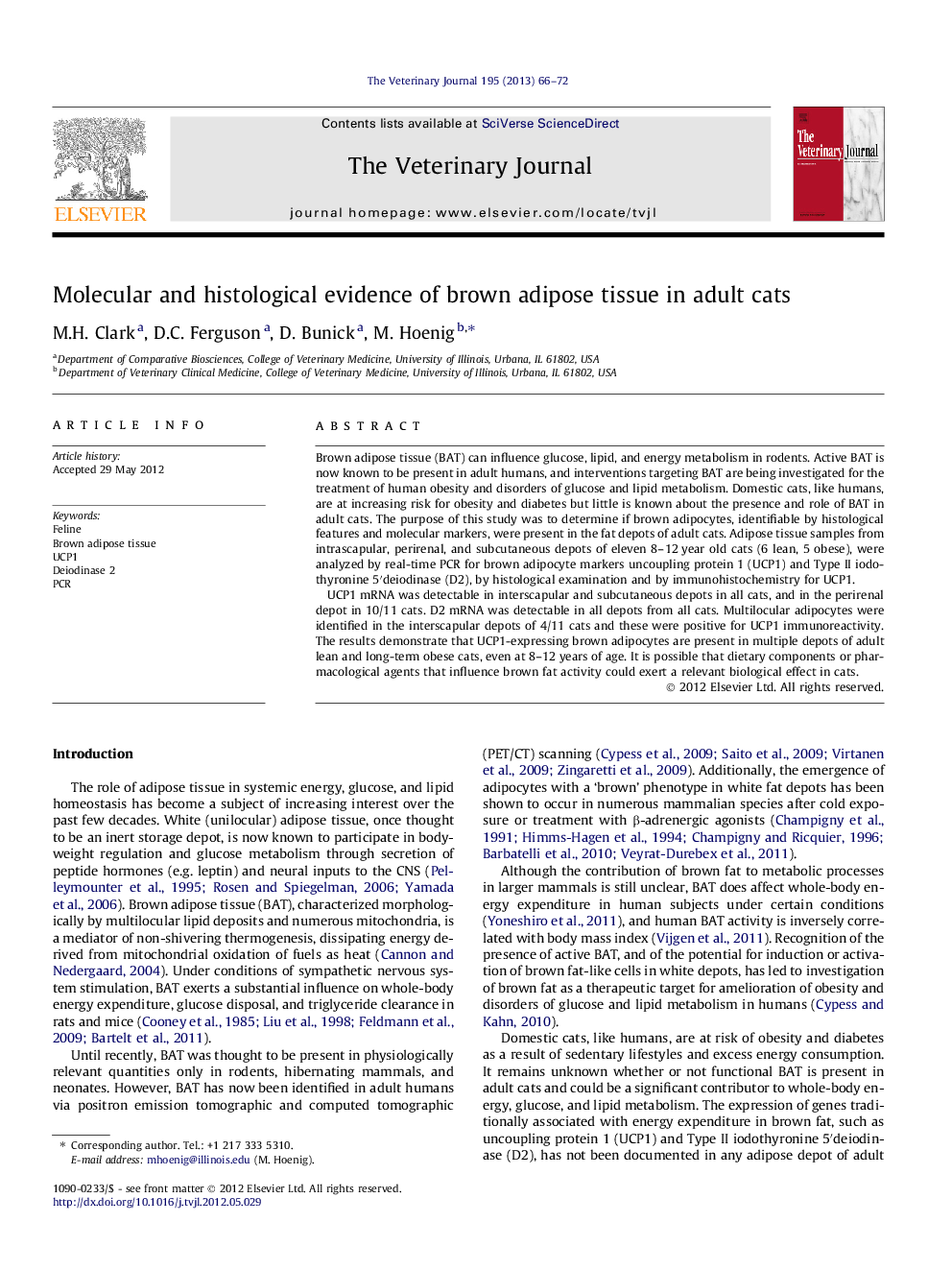 Molecular and histological evidence of brown adipose tissue in adult cats