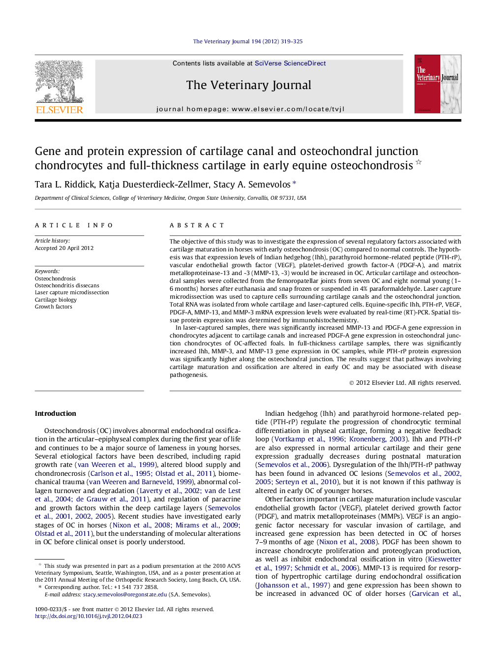 Gene and protein expression of cartilage canal and osteochondral junction chondrocytes and full-thickness cartilage in early equine osteochondrosis 