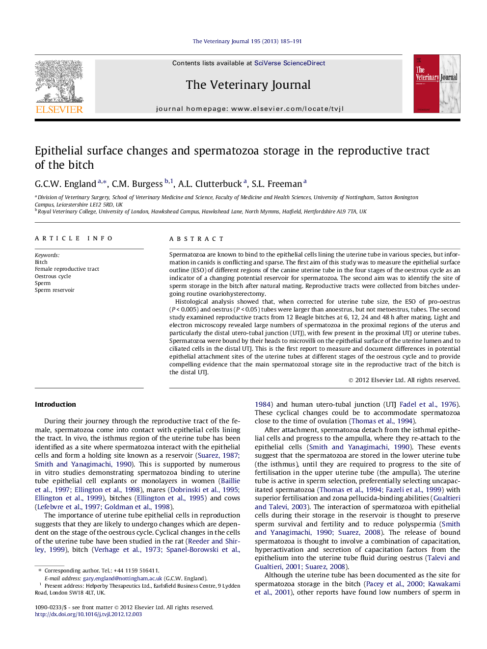 Epithelial surface changes and spermatozoa storage in the reproductive tract of the bitch