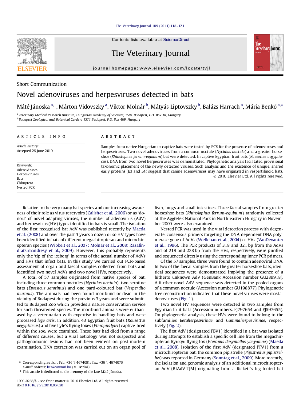 Novel adenoviruses and herpesviruses detected in bats