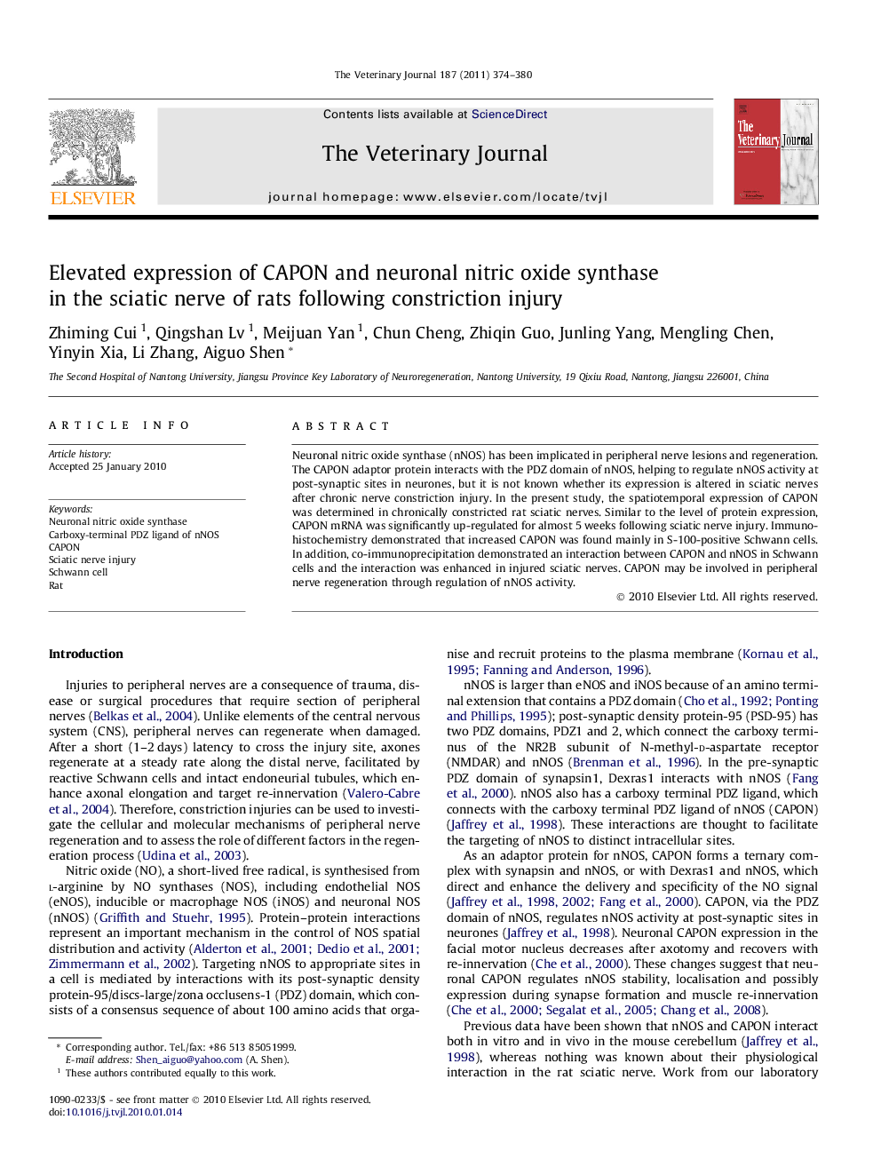 Elevated expression of CAPON and neuronal nitric oxide synthase in the sciatic nerve of rats following constriction injury