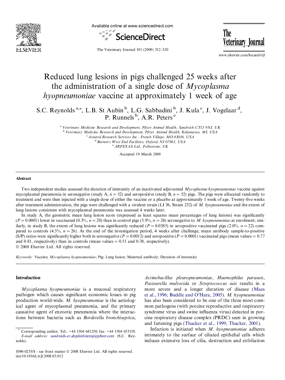 Reduced lung lesions in pigs challenged 25 weeks after the administration of a single dose of Mycoplasma hyopneumoniae vaccine at approximately 1 week of age